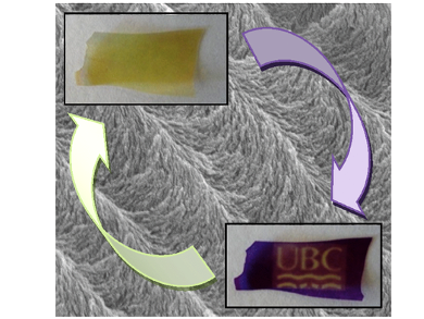 Reversible Photopatterning And Metal Ion Sensing