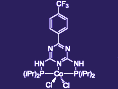 Cobalt-Catalyzed Alkylation of Alcohols