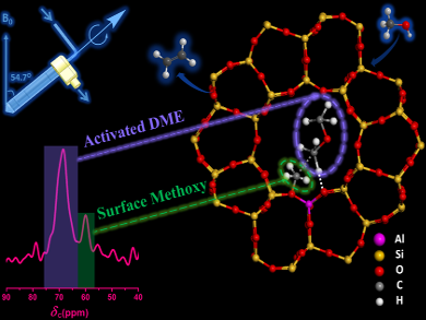 Studying Methanol Conversion with NMR