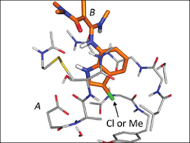 Calculating Drug–Protein Interaction Energies