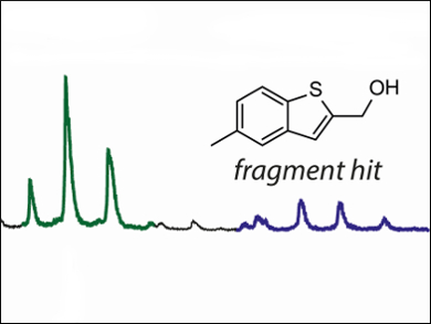 Screening Inhibitors Against Tuberculosis