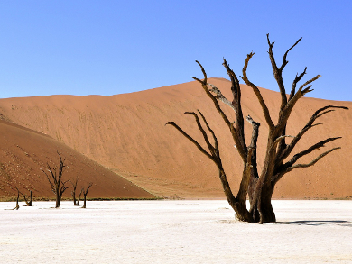 Climate Change Projected to Cause More Deadly Heatwaves