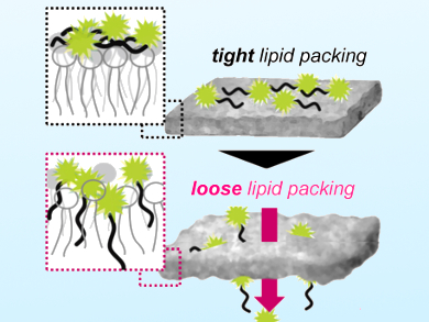 Peptide Delivery Mechanisms