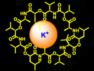 Fluorescent Sensors Detect Microbial Toxin