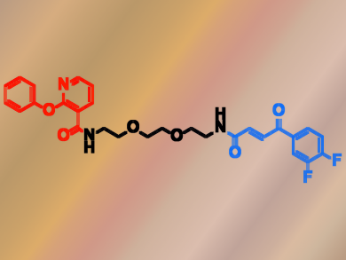 Screening Libraries of Drug Building Blocks