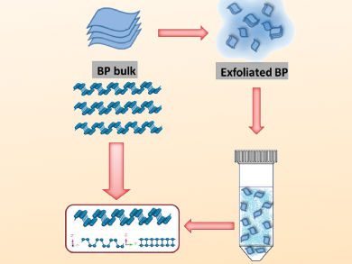 Black Phosphorus Nanosheets for Catalysis