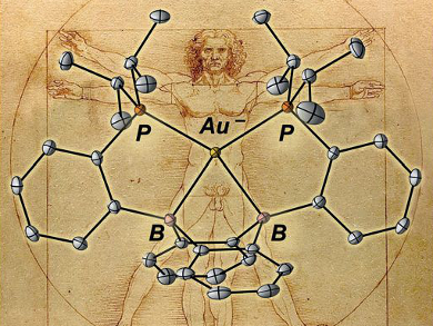 Stable Gold Anions