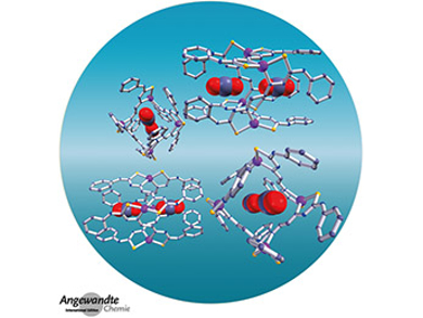 Angewandte Chemie 29/2017: Happy 100, Mate