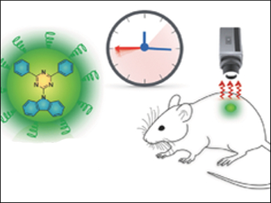 Afterglow Imaging In Vivo