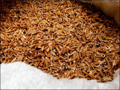 Highly Porous Carbon Made from Rice Husks