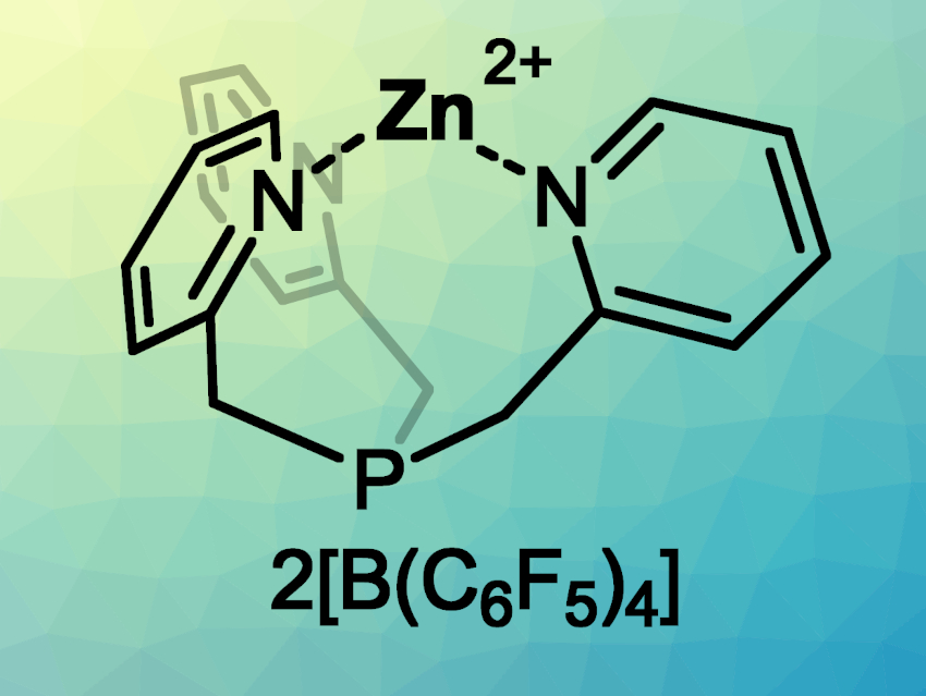 On‐Demand Selective Dehydrogenative Borylation or Hydroboration