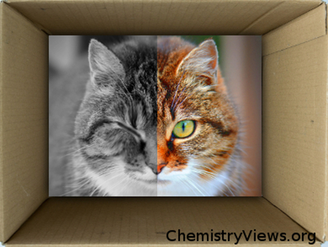 What is Schrödinger's Cat?