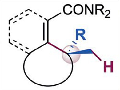 Iridium-Catalyzed C–H Functionalization