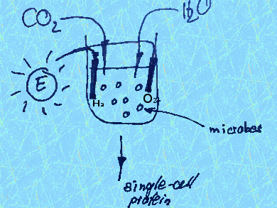 Protein From Air and Energy