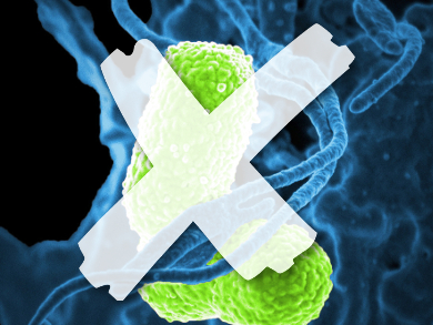 Protecting Microfiltration Membranes from Biofouling