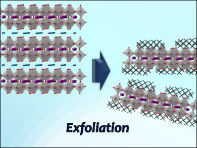 Perovskite Nanosheets