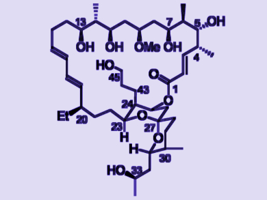 Antifungal Marine Macrolides