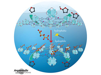 Angewandte Chemie 33/2017: Unusual Transfers