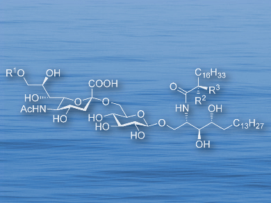 Selective Sialylation