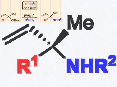 Asymmetric Synthesis of α,α,α-Disubstituted N-Alkyl Allyl Amines