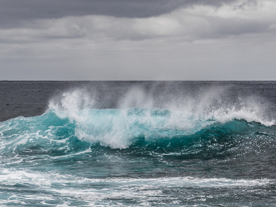 Microbes Travel over the Oceans