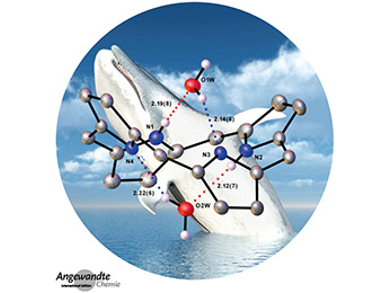 Angewandte Chemie 34/2017: Going in Circles