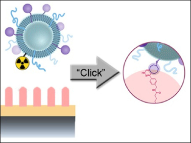 Specific Binding of Liposomal Nanoparticles