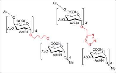Pseudosaccharides as Antigen Mimics