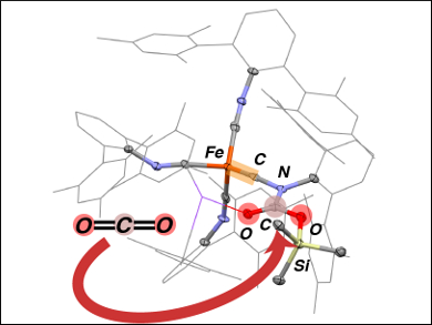 Trapping Intermediates in CO2 Fixation