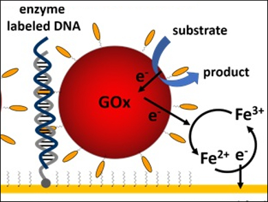 Sequence-Independent DNA Detection