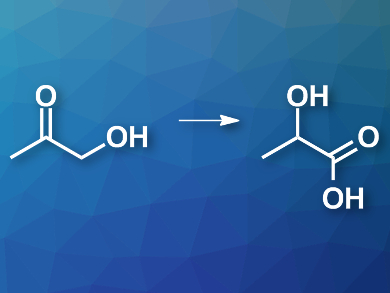 Lactic Acid from Biomass