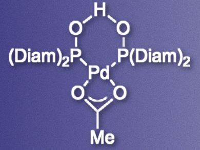 Pd-Catalyzed Arylation of Oxazolines
