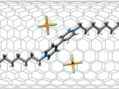 Bandgap Tuning in Carbon Nanotubes