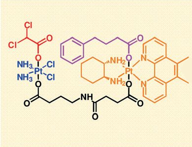 Quadruple-Action Anticancer Prodrug