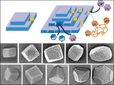 How Additives Affect Calcite Crystal Growth