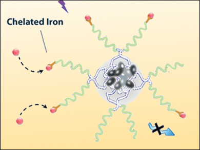 Iron-Chelating Micelles