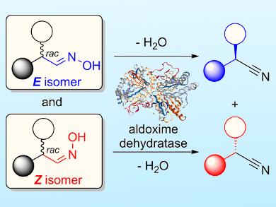 Biocatalytic Synthesis of Nitrile Compounds