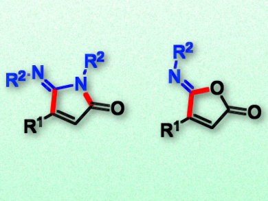 Solvent-Controlled Synthesis of Heterocycles