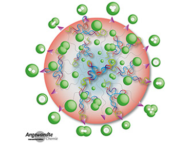 Angewandte Chemie 38/2017: Strong Interactions