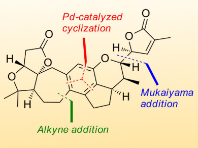 Total Synthesis of Rubriflordilactone A