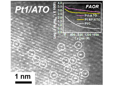 Platinum Single-Atom Catalyst