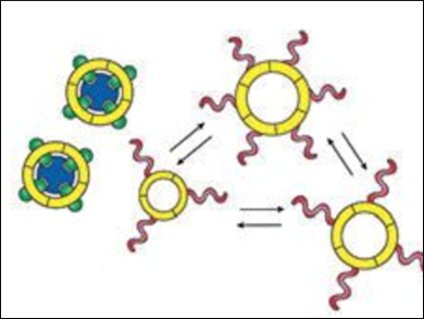 Self-Replication Systems