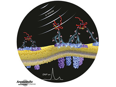 Angewandte Chemie 43/2017: Designing Properties