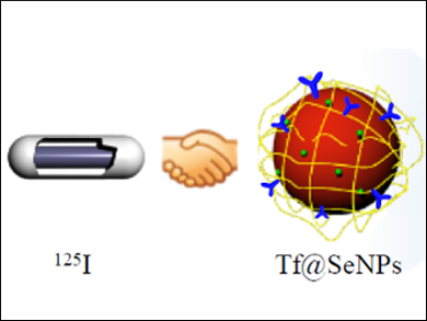 Cancer-Targeted Selenium Nanoparticles