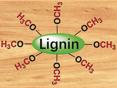 Pure Acetic Acid by Lignin Carbonylation