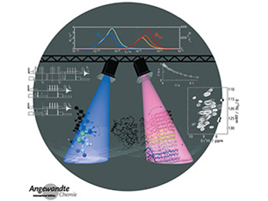 Angewandte Chemie 44/2017: Perfect Arrangement