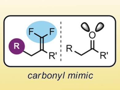 Synthesis of gem-Difluoroalkenes