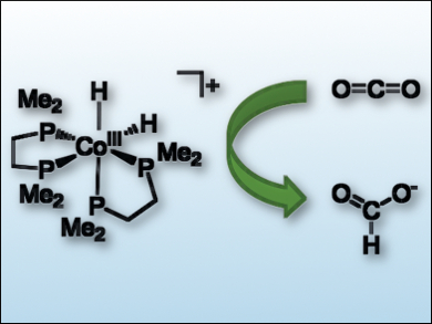 CO2 Hydrogenation in Water