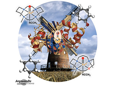 Angewandte Chemie 46/2017: Chemistry and Biology and More