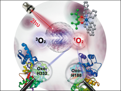 Photoactive Iridium Complexes for Cancer Therapy